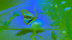 Una mariposa posada sobre un diente de león en una acera agrietada.