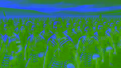 A group of Māori warriors performing the haka on a battlefield with an overcast sky and distant hills.