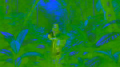 Eine Caboclo-Frau wandert durch den Amazonas-Regenwald und sammelt mit einem geflochtenen Korb in der Hand Heilpflanzen.