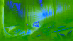 The glowing Spirit Bear walks along a forest path at dusk, observed by a young man standing in awe.