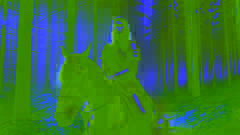 Mulan, disfrazada de hombre, cabalga a través de un bosque brumoso al amanecer en su camino para unirse al ejército.