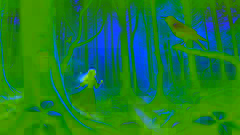Aoife sigue a un mirlo mágico a través de un encantador bosque irlandés, donde los árboles se elevan majestuosamente y una suave luz mística ilumina el entorno.