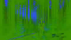 Un hombre camina a través de un denso bosque al crepúsculo, rodeado de altos árboles y largas sombras.