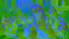 Riley the raven sits nervously in a forest classroom with Mrs. Owlivia and classmates gathered in a circle.