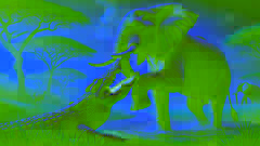 The Crocodile biting the Elephant's leg as the Elephant endures the pain with determination.