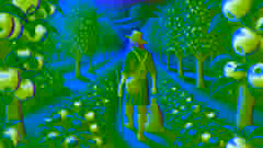 Johnny Appleseed, con su vestimenta característica, camina por un campo de manzanos.