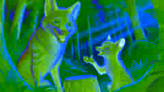 Jackal discussing with an older, wiser jackal in the forest.