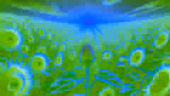 Der böse Same steht in einem Sonnenblumenfeld bei Sonnenuntergang und blickt zu den hohen Sonnenblumen auf, die gen Himmel ragen.
