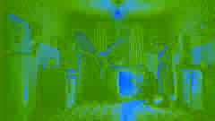 Marta Adler cuidando de seu filho, transformado em uma mariposa, em uma cozinha apertada de Berlim, iluminada por uma única lâmpada.