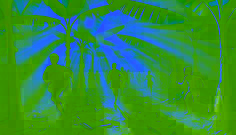 Wind spirit swirling leaves around a group of laughing villagers in a banana grove