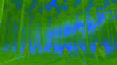 Les mousquetaires brisent une embuscade du Cardinal dans la forêt brumeuse.