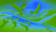 An eagle and a falcon racing across the golden desert dunes, one soaring high while the other speeds low, competing for dominance.