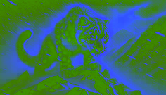 Uma leopardus das neves se agacha contra uma feroz nevasca nas montanhas do Quirguistão, seu pelo manchado coberto de geada.