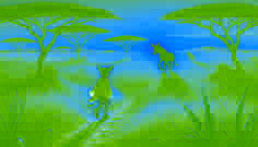 Un burro desalentado se aleja al atardecer, mientras una hiena desaparece en la alta hierba de la sabana senegalesa.