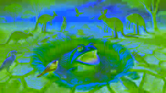 Tiddalik the frog drinking from a spring as other animals watch in the dry Outback