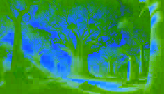 Un sereno bosque de baobabs en Ségou, bañado por la luz del sol, donde imponentes árboles proyectan rayos dorados sobre el tranquilo paisaje.