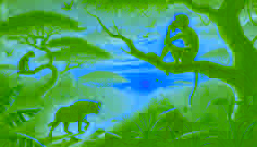  At sunset, a monkey lounges on a tree branch, watching as a humiliated hyena slinks away into the jungle undergrowth.