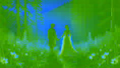 Al amanecer, Lucian e Irina se encuentran de la mano en un claro cubierto de niebla, rodeados de flores silvestres doradas y una luz suave.