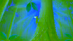 Bat climbs a tall tree with the help of ants at sunrise to collect a drop of dew, surrounded by glowing forest light.