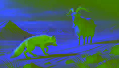A hungry fox limps through the snow, pretending to be weak, while a cautious goat watches in the cold Kyrgyz landscape.
