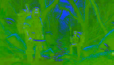 Elena and Diego trek through the Ecuadorian cloud forest, surrounded by towering moss-covered trees and dense jungle.