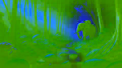 Un éléphant portant une tortue entre ses jambes dans la forêt au crépuscule