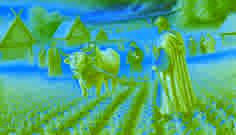 Los emisarios se acercan a Přemysl el Labrador, guiando bueyes a través de un campo bohemio con un arado de madera.