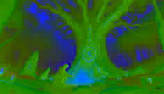 Eero se arrodilla ante una hierba brillante bajo un roble tallado con runas en un sagrado bosque crepuscular.