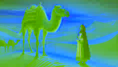 Layla trifft das sprechende Kamel in den goldenen Dünen von Ghadames.