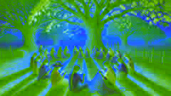 Paraguayan women gathered under a ceibo tree crocheting Ñandutí lace