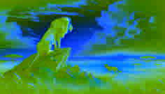 Un león se sienta en lo alto de un saliente rocoso, mirando a lo lejos con aceptación, mientras que el chacal desaparece en la sabana.