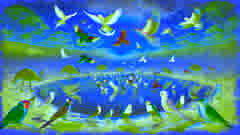 Un grupo de aves de colores brillantes iluminadas por el amanecer sobre el interior de Australia.