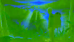 Diego se tient au bord de la jungle à l'aube, contemplant Corcovado, où deux yeux dorés scintillants l'observent à travers la brume.