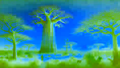 Luz matutina y polen dorado girando alrededor de un baobab y un viajero eufórico.