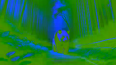 Un panda géant patrouille dans une forêt de bambous paisible, incarnant son rôle de gardien.