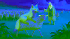 Un renard portant une peau de mouton pour se fondre parmi le troupeau.