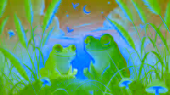 Frosch und Kröte lassen Glühwürmchen bei Dämmerung als Laternen aufsteigen.