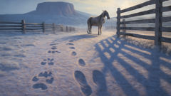 Coyote tracks morphing into humanlike prints near a corral in the high desert