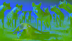 A jackal surrounded by skeptical hyenas near a carcass in the African savanna under a tense and vibrant atmosphere.
