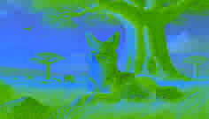  A jackal resting under a baobab tree in the African savanna during sunset, exuding triumph and cleverness.