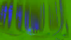 Three characters cautiously walk into a dark forest at night with one holding a glowing wand.