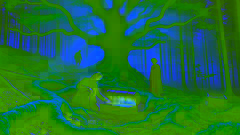 Dois historiadores cavam perto de um antigo carvalho em uma floresta envolta em névoa e encontram uma caixa de ferro escondida sob suas raízes.