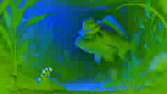 Un grand poisson, portant maintenant un chapeau, s'éloigne en nageant tandis que le petit poisson l'observe.