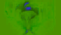 A dark, spectral canine with glowing eyes emerges from jungle shadows under a full moon.