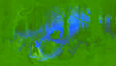 Elf Knights battling swirling black mist in a forest clearing at dawn