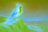 Un pájaro de fuego resplandeciente posado sobre una escarpada roca al anochecer.