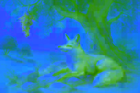 Una zorra descansa a la sombra de un olivo bajo una vid cargada de uvas.