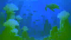 Kalulukul diving below coral canyons to gather volcanic stones from the depths