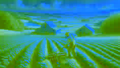 Un hombre decidido trabaja en los campos bajo un cielo brillante y amplio, rodeado de cultivos vibrantes.