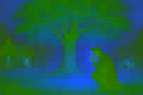 The lime tree’s branches trembling under a moonlit sky as Ivan makes his second wish